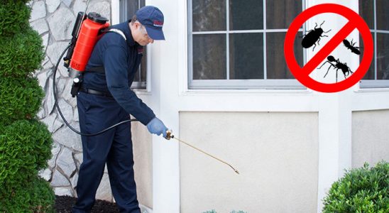 Çandarlı Böcek İlaçlama böcek ilaçlama ve haşere kontrolü — ilaclama-tr.com